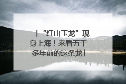 “红山玉龙”现身上海！来看五千多年前的这条龙